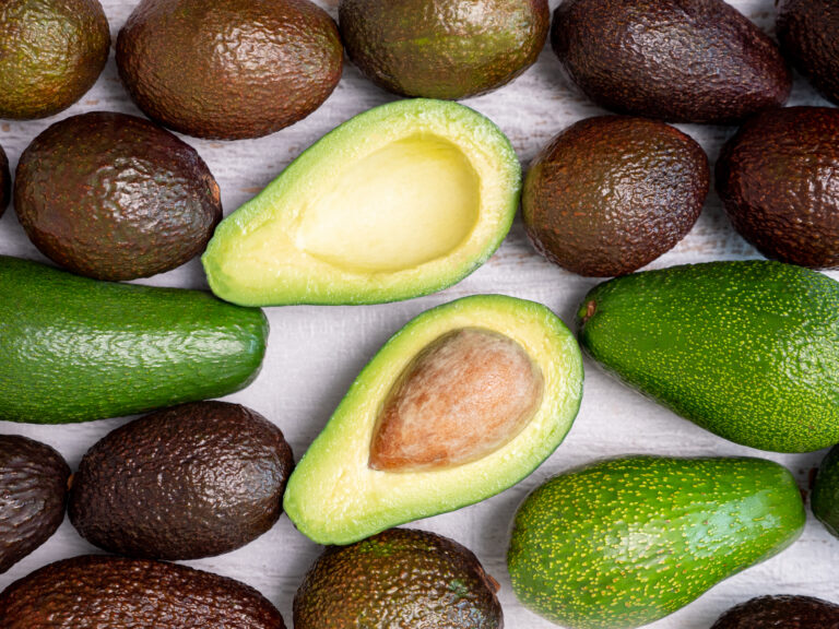 avocado vendite proprietà caratteristiche